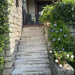Venzo Brenzone sul Garda
